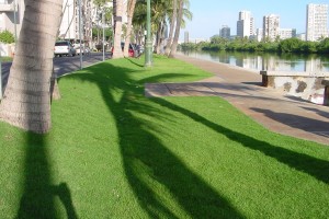 Ala Wai Boulevard Improvements