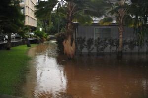 UH at Manoa Krauss Hall Drainage