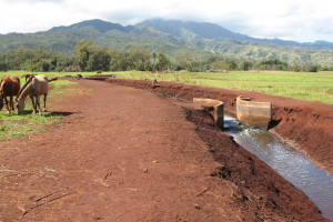 Waialua Agricultural Subdivision