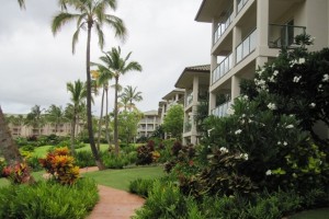 Kalanipu’u at Kauai Lagoons