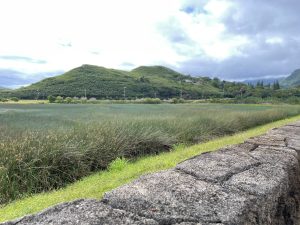 Kawainui Marsh Levee Flood Hazard Environmental Abatement