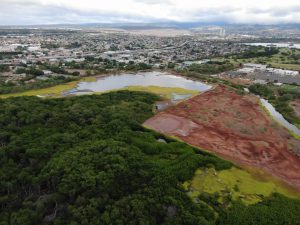 Pouhala Marsh Restoration – EA & ESA